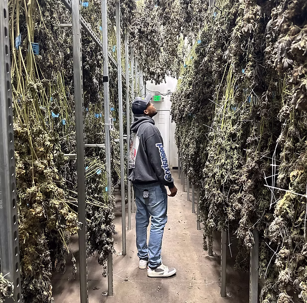 SMOKE GOOD, BE WELL