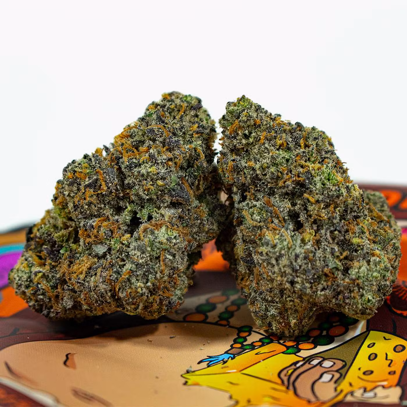 Teds Budz Big Buddha Gouda high-potency hybrid strain