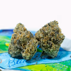 Teds Budz Blue Mahi Strain – 29% THC Hybrid