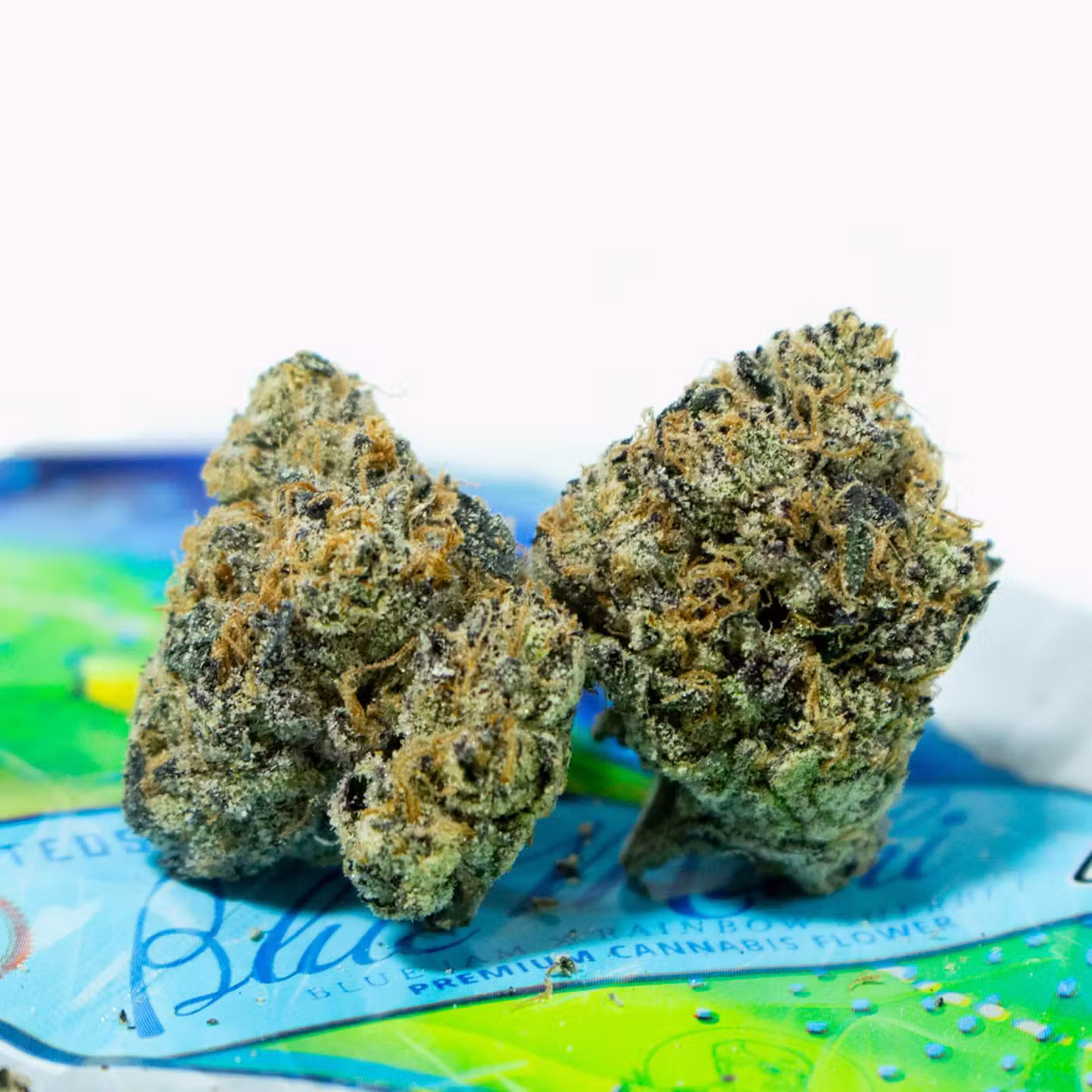 Teds Budz Blue Mahi Strain – 29% THC Hybrid