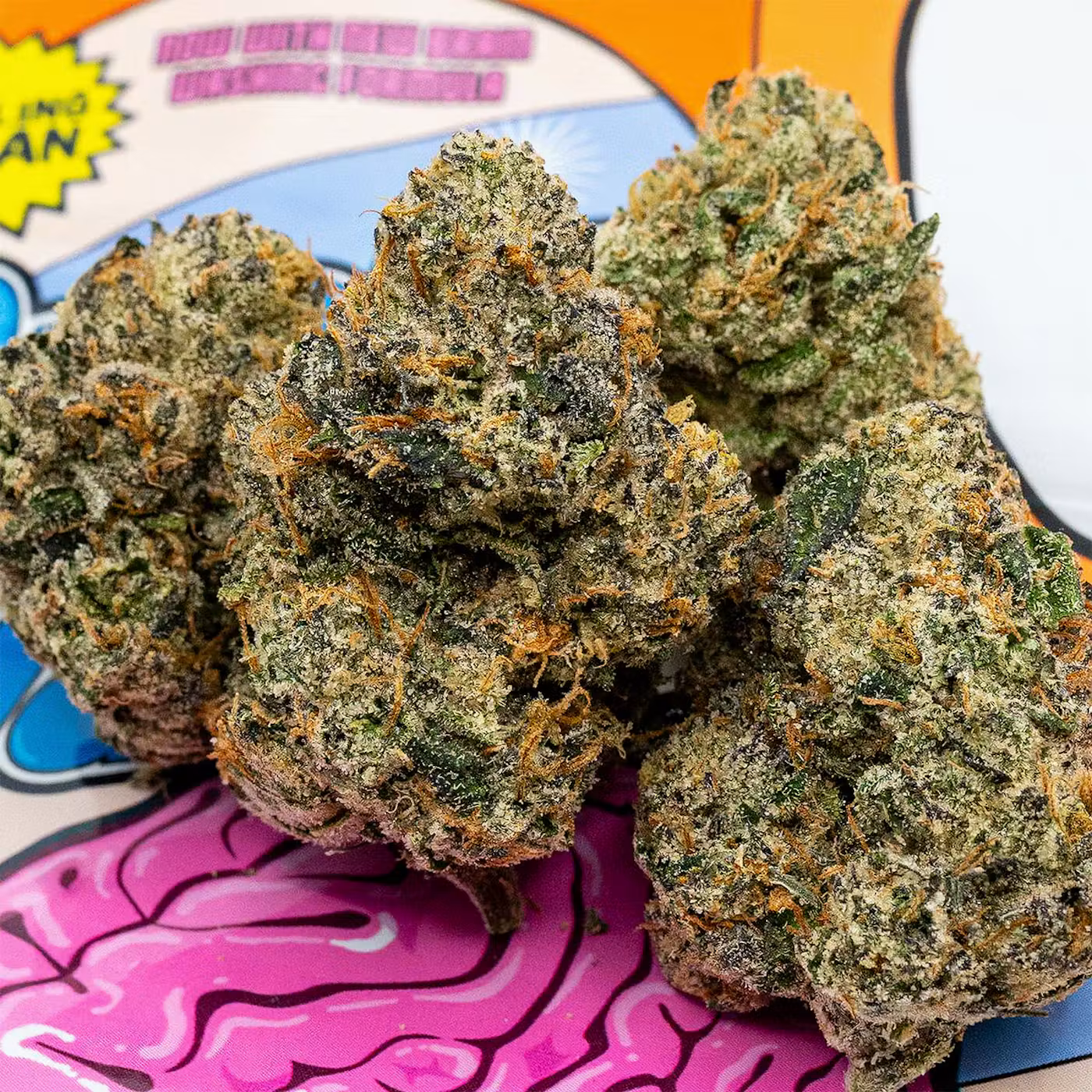 Teds Budz Brain Wash high-potency hybrid strain