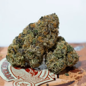Teds Budz Duck Fat Fries Strain
