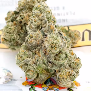 Teds Budz Heavy Duck Sauce Strain