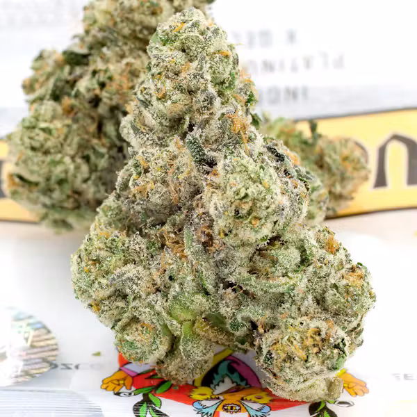 Teds Budz Heavy Duck Sauce Strain