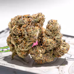Teds Budz Princess Plug Mellow Berry Strain