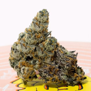 Teds Budz Red Snapper Strain